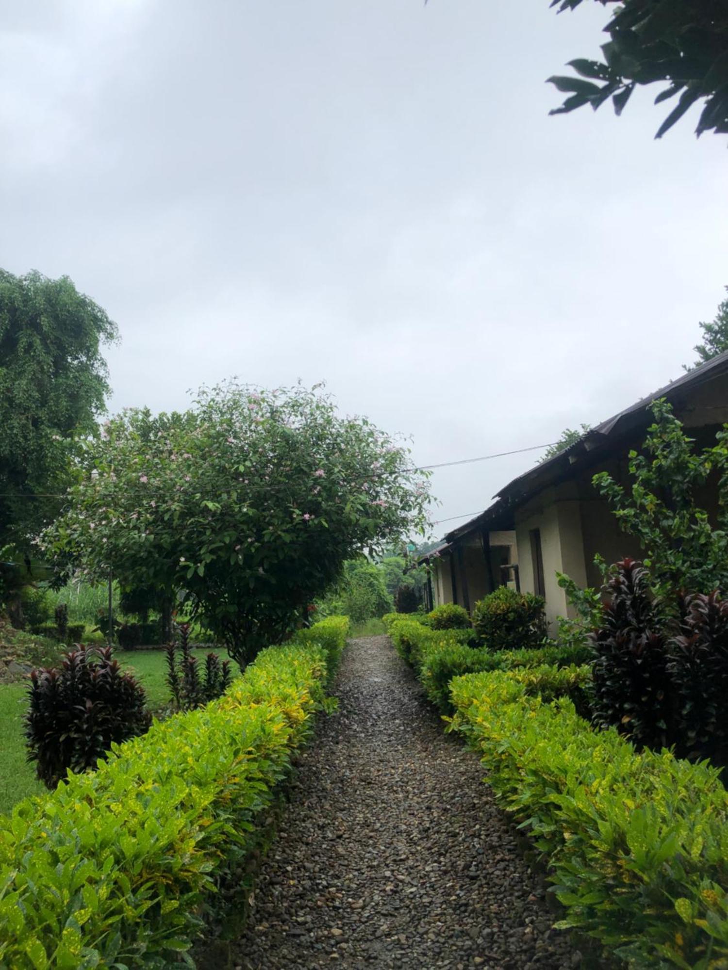 Hotel Tharu Garden And Beer Bar Chitwan Ngoại thất bức ảnh