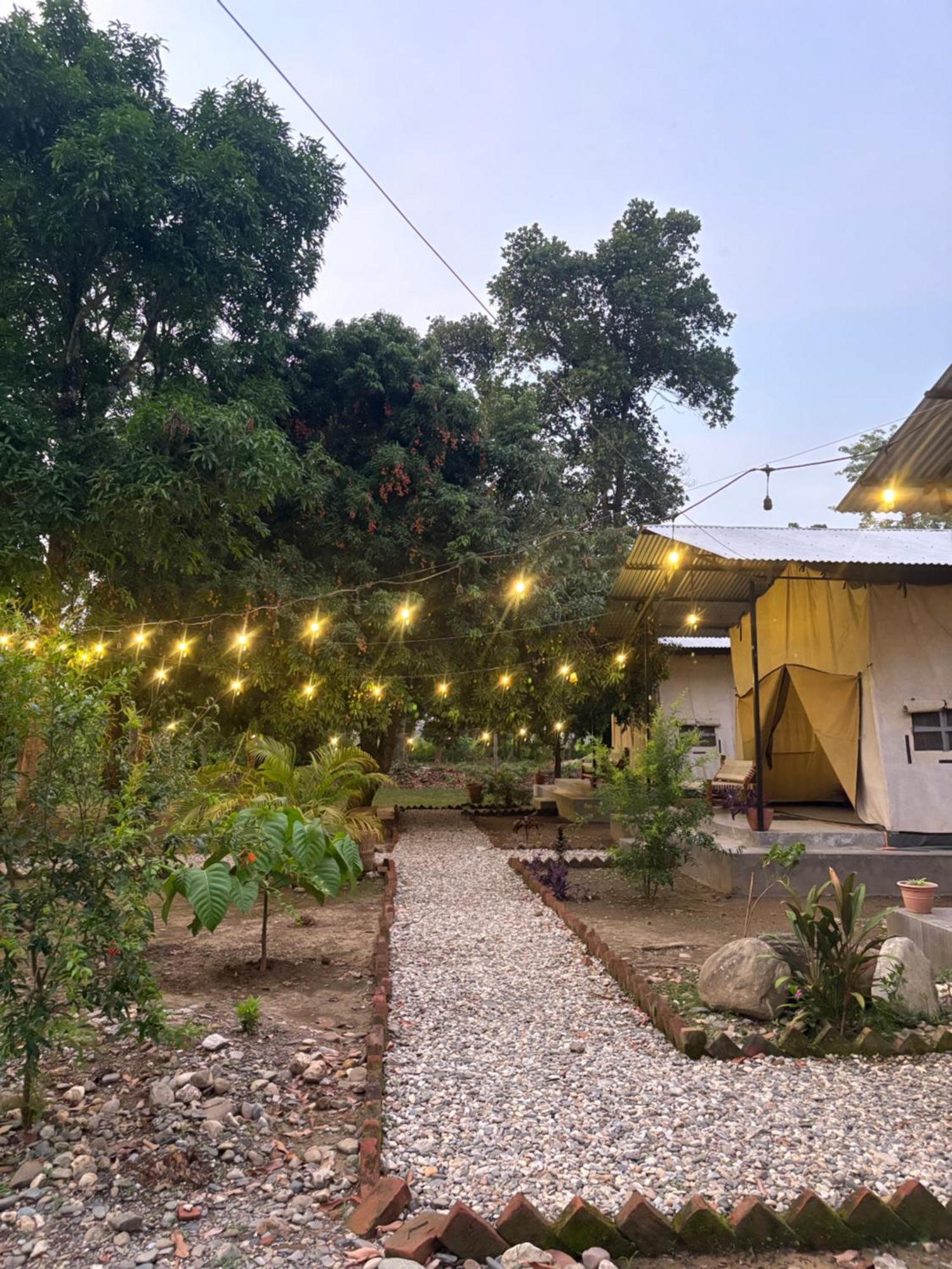 Hotel Tharu Garden And Beer Bar Chitwan Ngoại thất bức ảnh